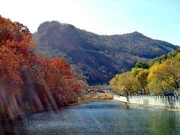 新澳天天开奖资料大全旅游团，夏沫微然